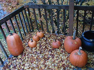 Fall pumpkins and leaves